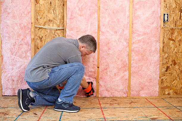 Best Insulation Replacement Services  in Southlake, TX