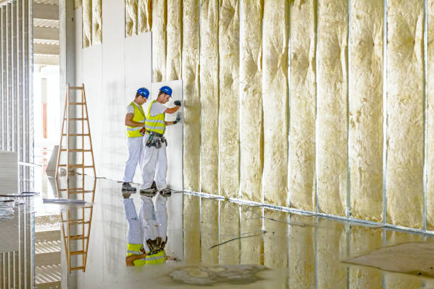 Best Attic Insulation Installation  in Southlake, TX